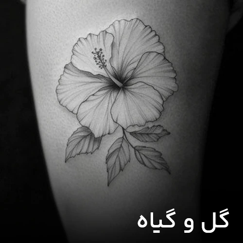 طرح تتو گل گیاه