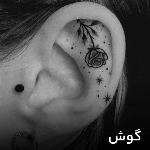 طرح تتو گوش